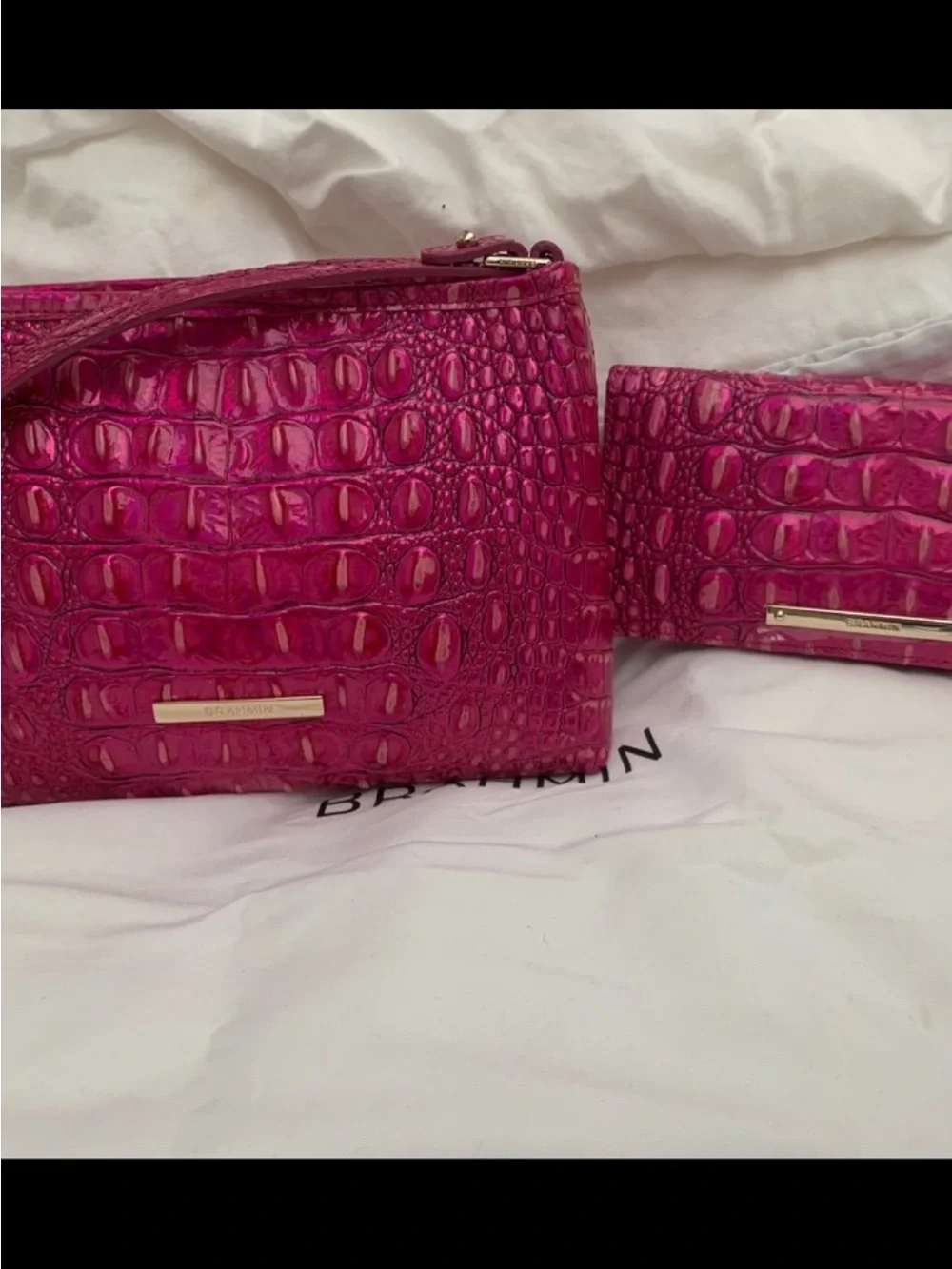 NWT Brahmin Potion (Hot Pink) Lorelei and Matching Potion Ady Wallet